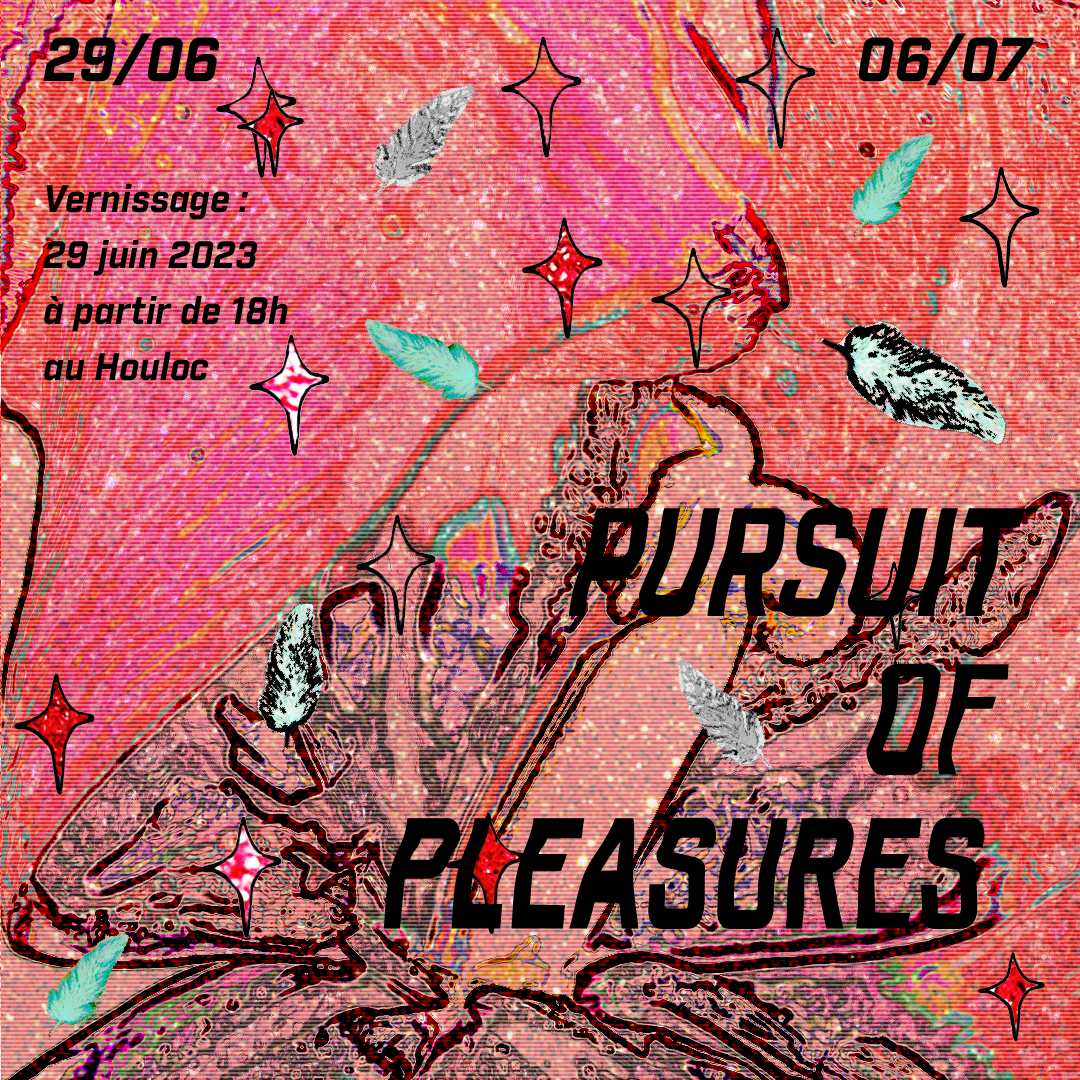 POURSUIT OF PLEASURE flyer